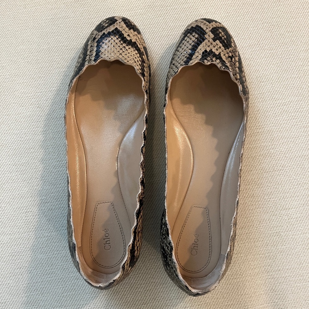 Chloe Lauren Ballerina Flats